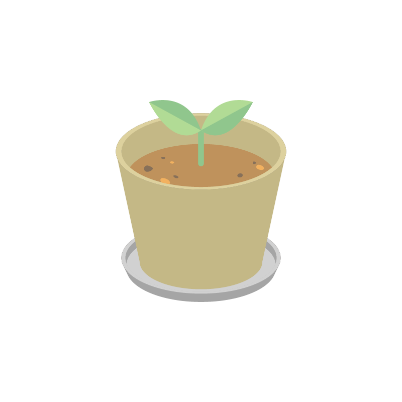 芽・観葉植物のイラスト 素材
