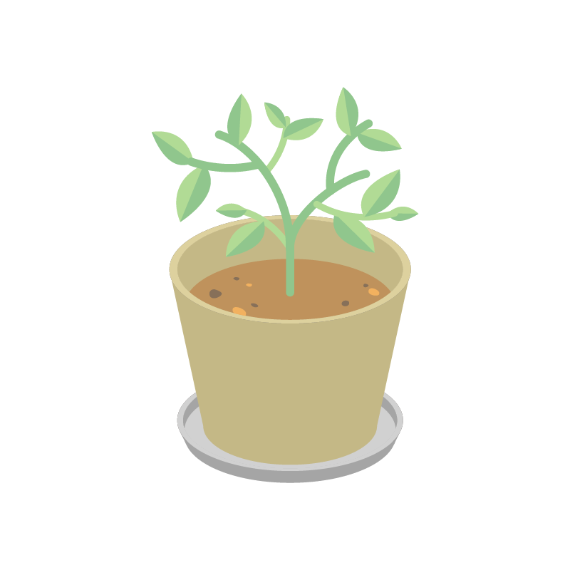 葉のある植物のイラスト 素材